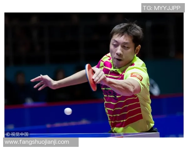 西安羽毛球队以57分稳居精英赛积分榜首位展现强劲实力