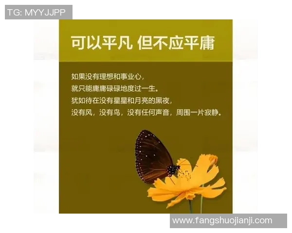 张昊的成长之路：从普通学生到优秀人才的奋斗历程与心路历程分享